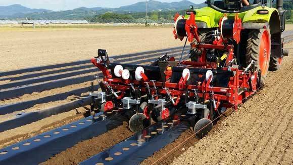 maquina cultivo fresa|camellones fresa|forigo-acolchadora-stf-d|forigo-conformadora-co-modus-b|forigo-enterradora-g35-c